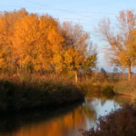 fondo_circulares