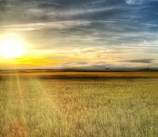 La Junta quiere evitar la nacionalización de la PAC para unificar criterios