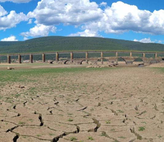 El Premio Tizón va a parar este año a las confederaciones hidrográficas del Duero y del Ebro