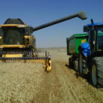 Estamos presentes Cosechar