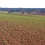 Artículo de opinión. Revista 136 ASAJA Soria