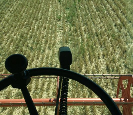 ASAJA Soria pide que se tenga en muy cuenta la sequía en la reducción de módulos fiscales de 2017