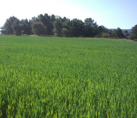 Marcos abordará con el ministro de Agricultura el futuro de los fondos de la PAC en una reunión bilateral