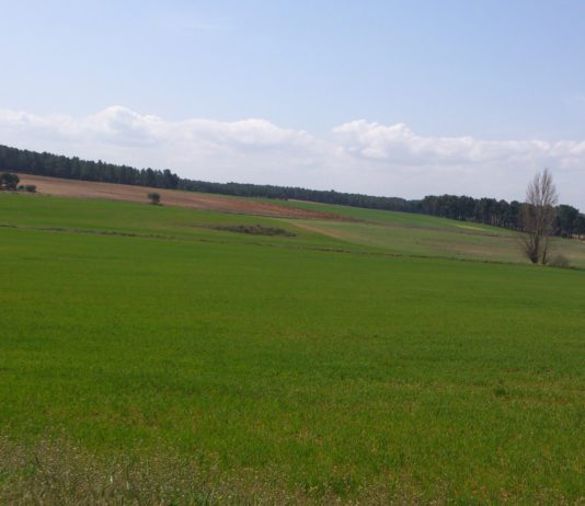 Las fechas de la nueva PAC están en el aire