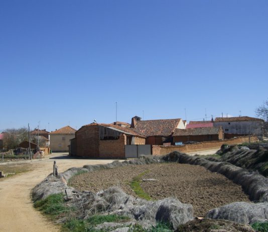 Felipe VI pide que la sociedad, las administraciones y las empresas apoyen a los jóvenes ganaderos y agricultores para hacer frente a la despoblación