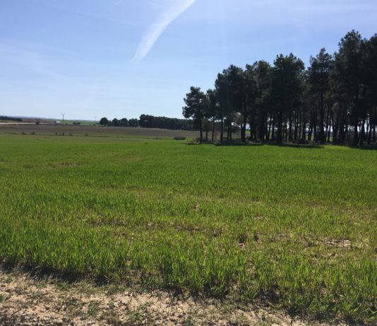 La Consejería de Fomento y Medio Ambiente, dirigida por Juan Carlos Suárez-Quiñones, asume las competencias de Agricultura y Ganadería