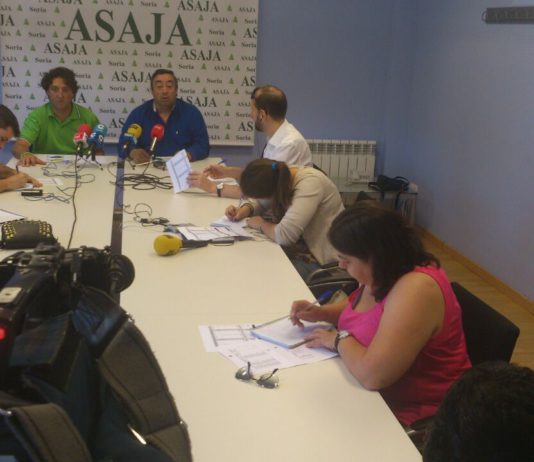 DOSSIER DE PRENSA 2018-2019