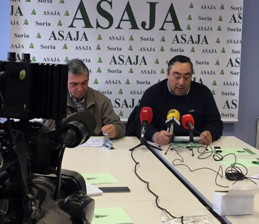 DOSSIER DE PRENSA 2017-2018