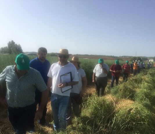 El ministro de Agricultura pone el acento en que solamente el 6 por ciento de los profesionales del campo tiene menos de 35 años