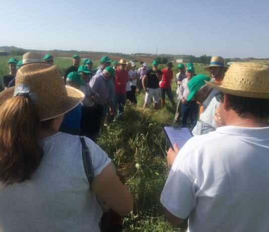 XIX Jornada de visita a los campos de ensayo de ASAJA Soria