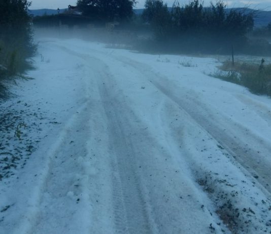 ASAJA Soria agradece la respuesta de Agroseguro