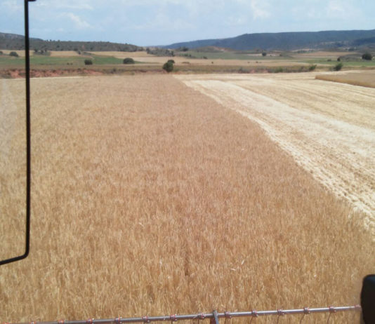 El Comité de las Regiones quiere que se ponga en valor el papel de los gobiernos locales en la PAC