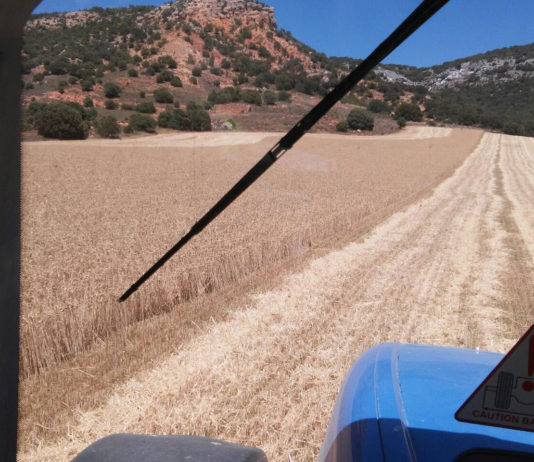 ASAJA organiza una jornada en la Feria de Muestras de Valladolid para promover el liderazgo de las profesionales del campo