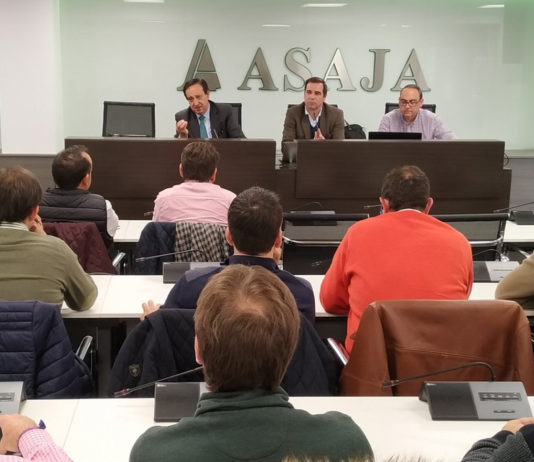 ASAJA constata un descenso significativo en las hectáreas sembradas de cereal en toda España, debido a la falta de rentabilidad