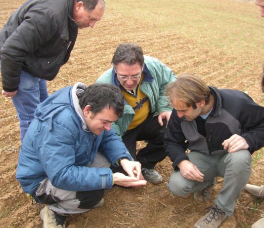 ASAJA-Soria, muy pendiente ante la temible amenaza de plagas de zabro
