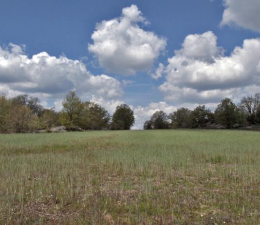 ASAJA Soria emite un voto particular en contra de la decisión de inadmitir la solicitud de inicio de evaluación medioambiental del proyecto de la granja de Cidones