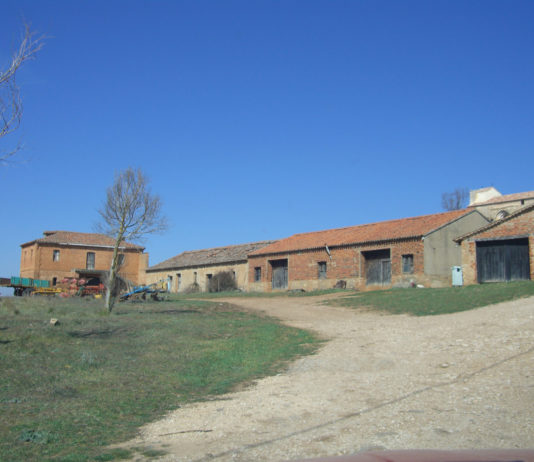 ASAJA reitera su apoyo a la manifestación de la ‘España Vaciada’