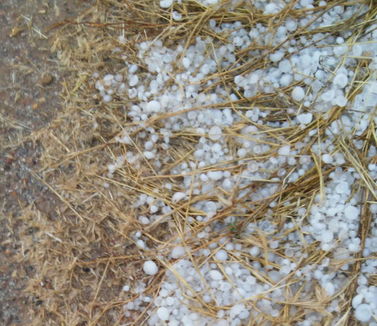 ASAJA Soria pide una reducción de los módulos fiscales, teniéndose en cuenta las incidencias climatológicas de 2018