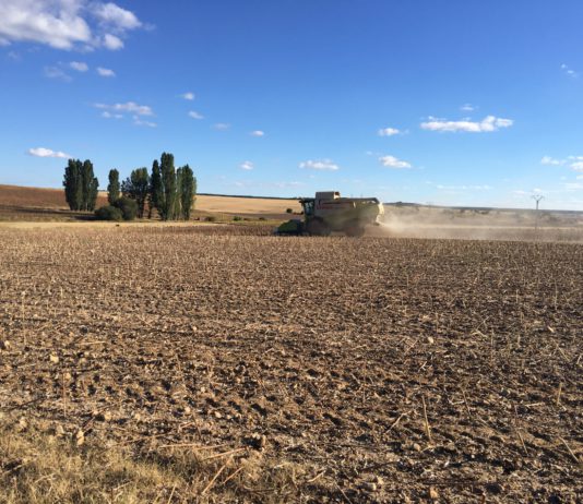 ASAJA consigue que los agricultores que optaron al cese anticipado no dejen de recibir ayuda, aunque se posponga la edad de jubilación