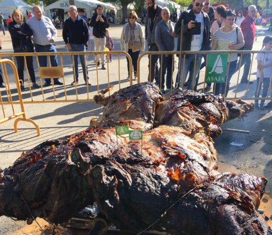 ASAJA Soria, apoyando al vacuno de carne provincial en la Feria de Almazán
