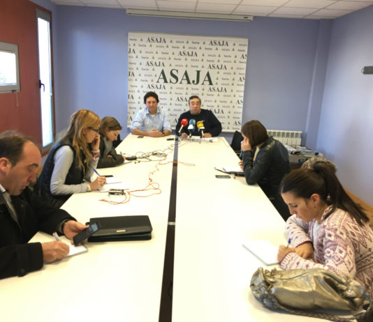 Dossier de prensa 2019-2020