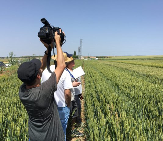 Todo listo para la XX Visita a los Campos de Ensayo de ASAJA Soria en Almazán