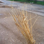 2016-06-24-PHOTO-00000004