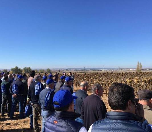 JORNADA TÉCNICA. VISITA CAMPOS DE GIRASOL 2019