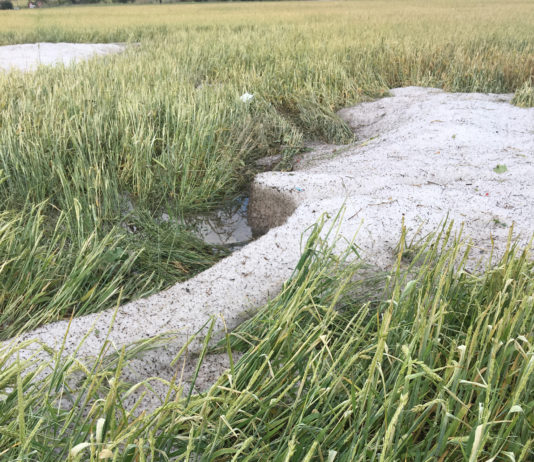 ASAJA Soria da la bienvenida a la reducción de módulos fiscales para el campo provincial