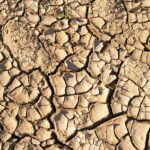 dry-soil-3453323_1280