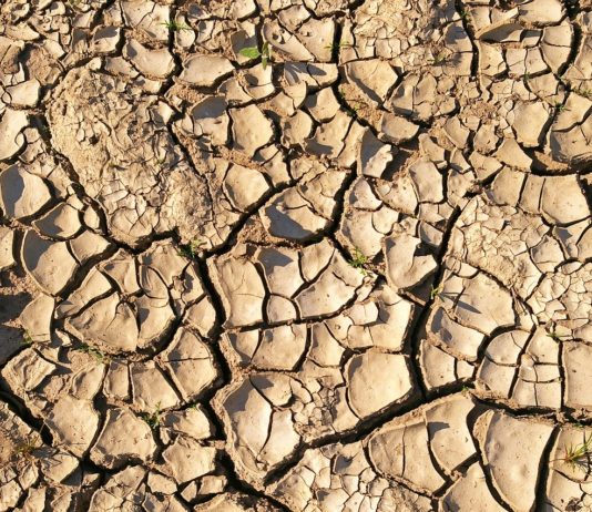 ASAJA considera lesivo para la agricultura de Castilla y León el plan estratégico de la PAC diseñado por el Ministerio