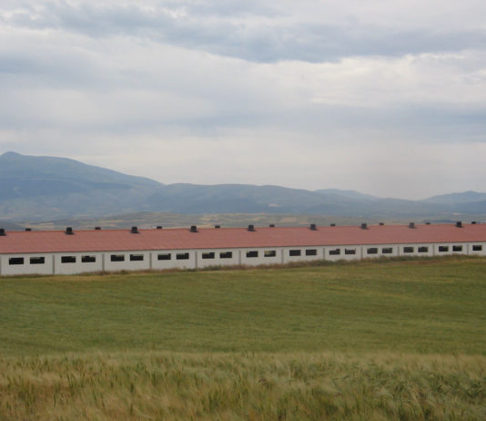 ASAJA no entiende las críticas demagógicas a unas medidas que simplifican, pero no reducen en nada los requisitos a las granjas ganaderas