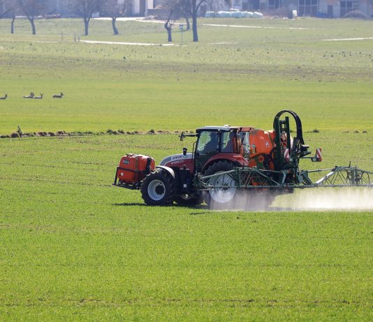 Planas considera que los problemas de los precios de los fertilizantes son coyunturales