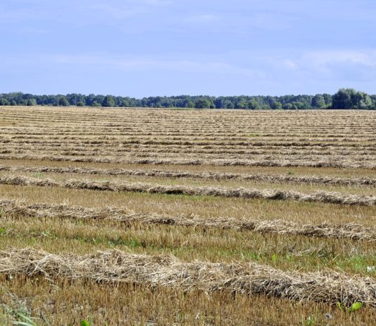 DÍAS CRUCIALES PARA LA PAC