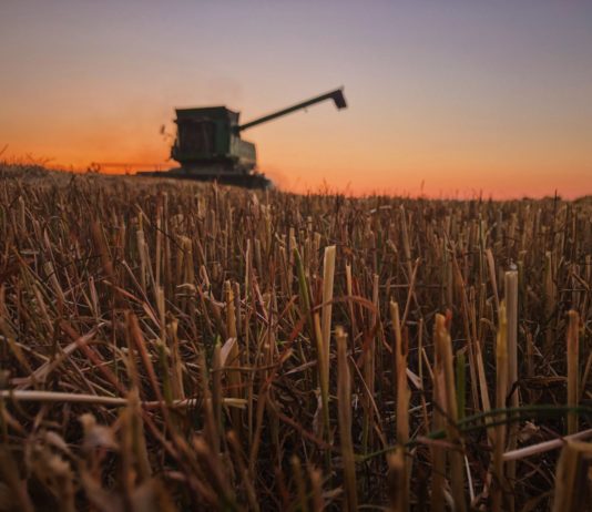 La Consejería de Medio Ambiente elimina las restricciones en el cosechado a partir del lunes 25 de julio