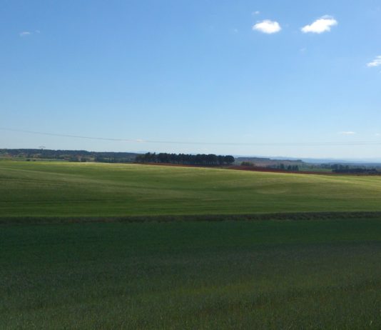 El Gobierno insta a mantener una vigilancia estrecha en el sector agroalimentario a pesar de la evolución positiva de los brotes