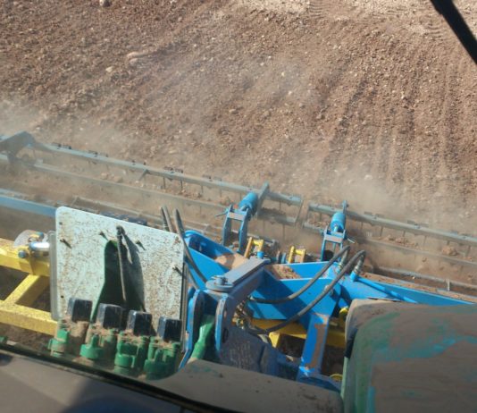 Bruselas propone regularizar nuevas técnicas de edición genómica para mejorar las cosechas