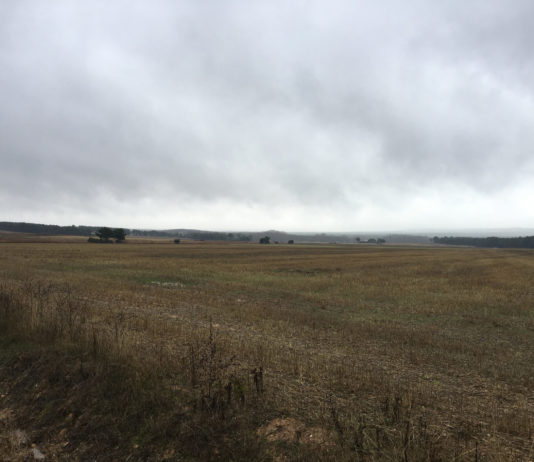 El FEGA actualiza la caché de la Sigpac para definir y evitar errores en la Solicitud Única de Ayudas de la PAC 2022