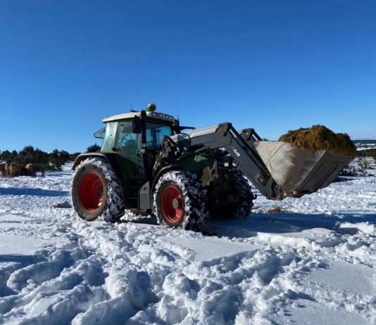 Así trabajó el campo soriano en plena borrasca Filomena