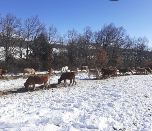 Artículo de opinión. Revista 143 de ASAJA