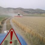 A VUELTAS CON LOS PRECIOS