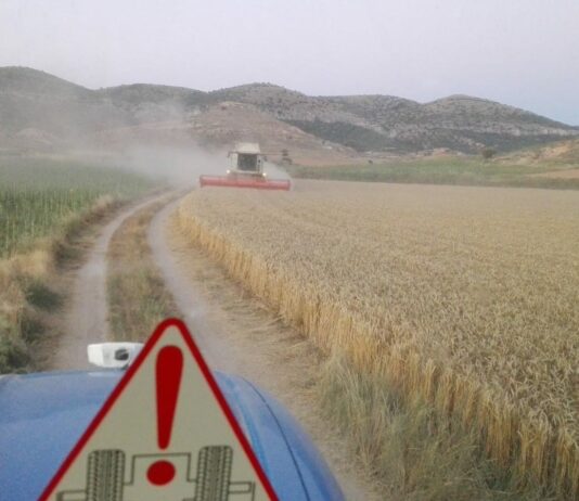 CUENTA ATRÁS PARA LA COSECHA MÁS NECESARIA, QUE APUNTA RESULTADOS DECEPCIONANTES