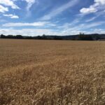 ARTÍCULO DE LA REVISTA 163 DE ASAJA SORIA. MARZO/ABRIL DE 2025