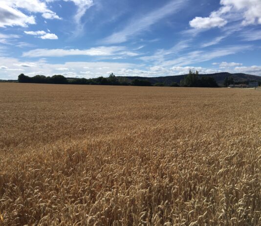 El Gobierno y las autonomías empiezan los contactos para adaptar el plan de la PAC