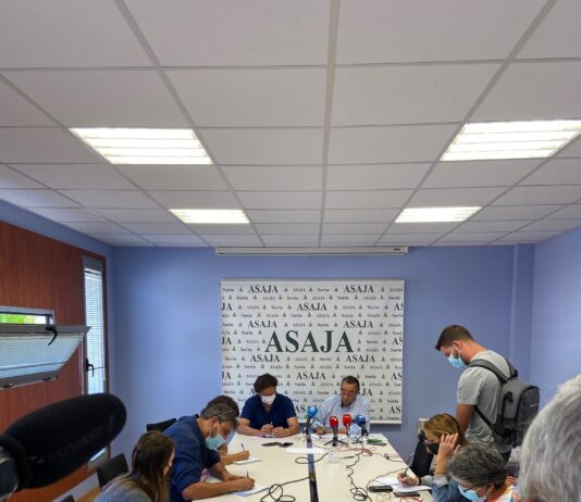 COSECHA ESTIVAL 2021