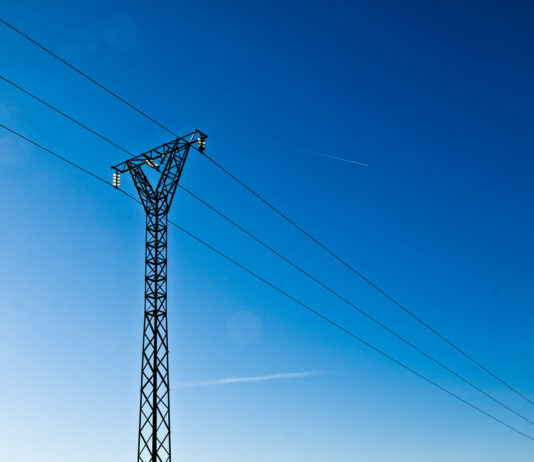 Identificación de tendidos eléctricos para permitir mejoras técnicas y proteger a la aves