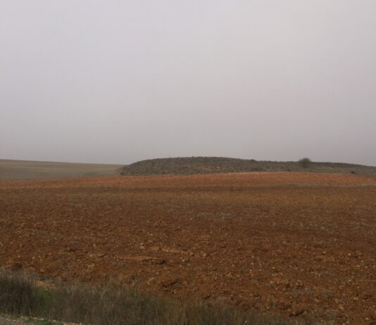 ASAJA Soria, descontenta con el acuerdo para continuar con los trabajos de la nueva PAC