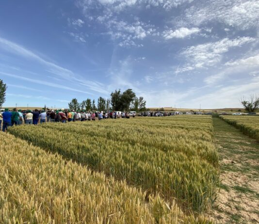 Los campos de ensayo de ASAJA-Soria retomaron en esta XXI edición las visitas grupales con un programa completísimo