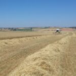 FLEXIBILIDADES ECO-REGÍMENES JUNTA DE CASTILLA Y LEÓN PAC 2023