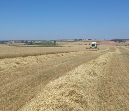 ASAJA Soria impugnará la resolución que prohibía la cosecha